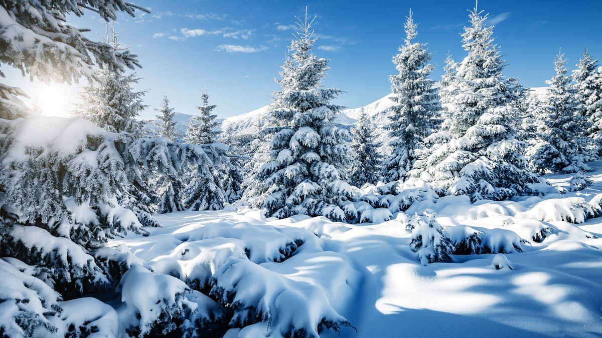 Nejen Vánoce na blátě. V Česku se mění celá zima, sněhu je o polovinu méně